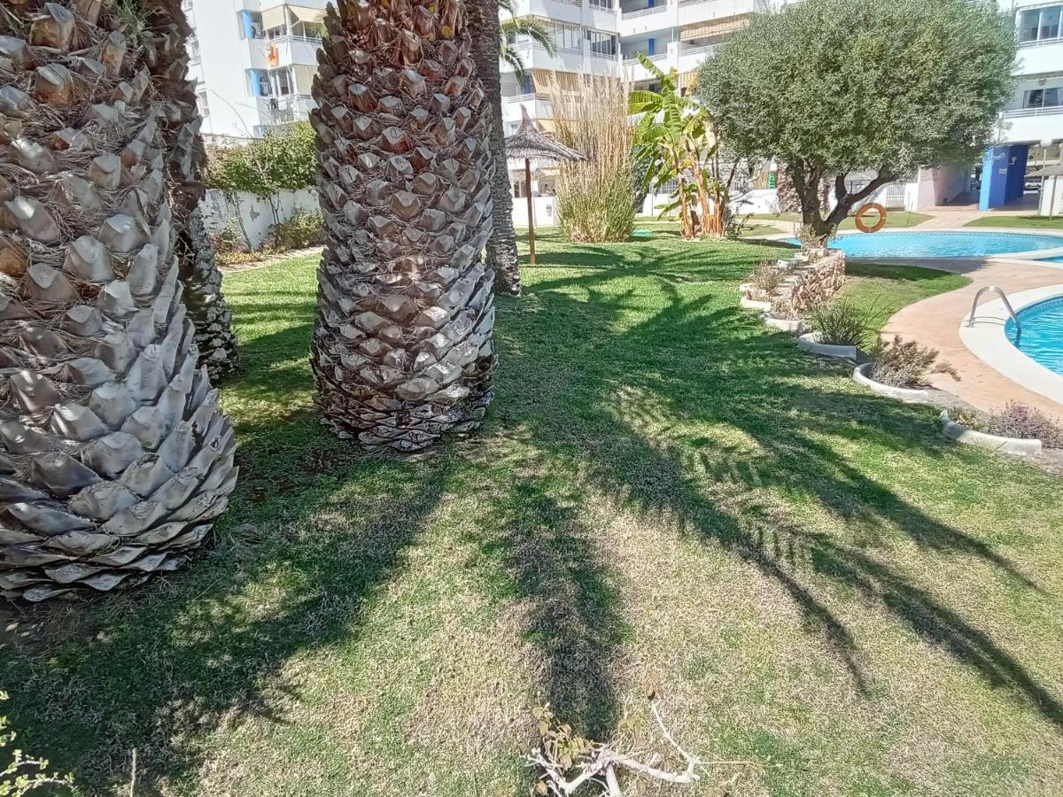 Apartamento La Nina, La Playa Paraiso A 100 Mts. Вильяхойоса Экстерьер фото